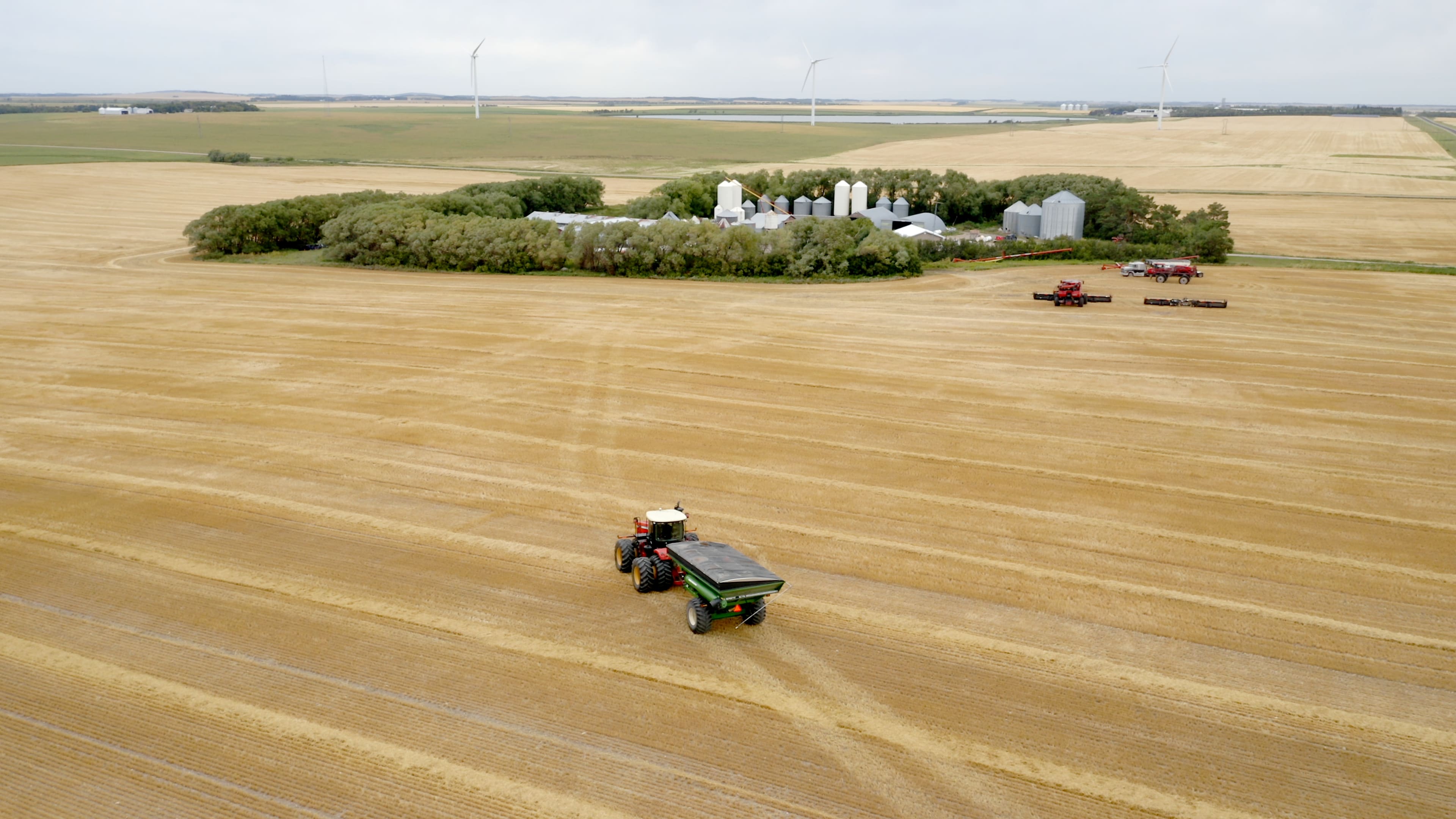 Farm equipment cultivating a pea crop near Saint Léon, Manitoba surrounded by fields and wind turbines. 